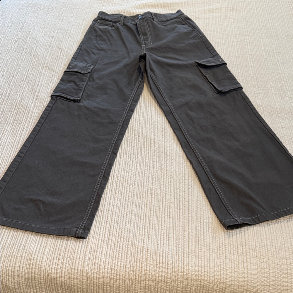 PacSun Dark Gray Cargo Pants